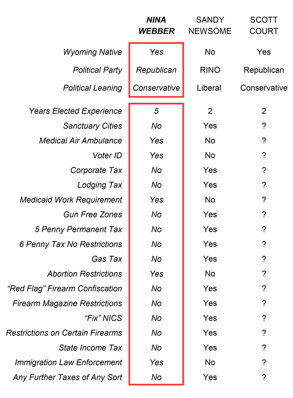 images/nina-candidate-chart.jpg